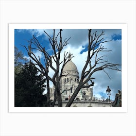 Montmartre Sacre Coeur And A Tree (Paris Series) Art Print