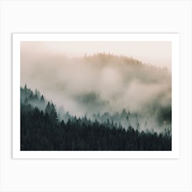 Morning Forest Fog Art Print