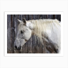 White Horse Art Print