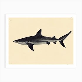 Grey Shark Silhouette 2 Art Print