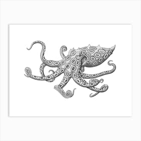Blue Ringed Octopus Art Print