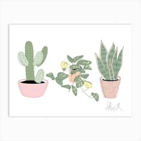 Trio Of Plants Art Print