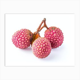 Lychee Fruit 20 Art Print