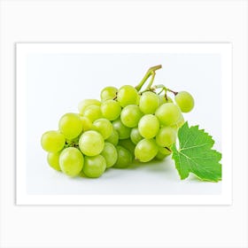 Grapes On A White Background Art Print