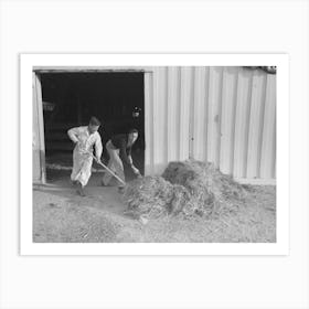 Untitled Photo, Possibly Related To Working Cowboys Cleaning Out The Stock Barns At The San Angelo Fat Stock Art Print