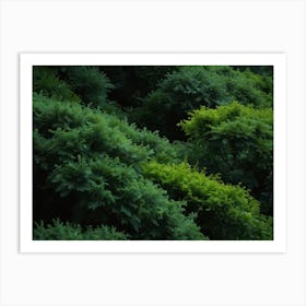 green nature 5 Art Print