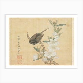 Bird Perched On A Flowering Branch Art Print