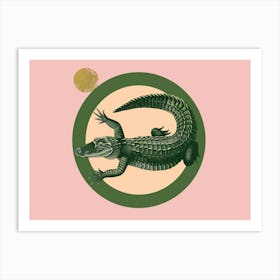 Alligator 19 Art Print