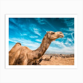 Camels In The Desert Art Print