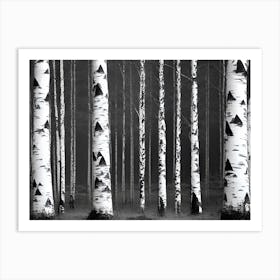 Birch Trees 48 Art Print