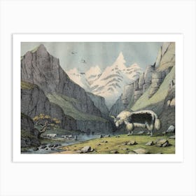 Vintage Kolb 7 Tafel 18 Yak Art Print