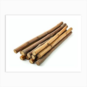 Bamboo Sticks Art Print