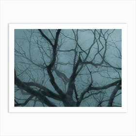 Bare Tree In Fog And Cold Light Art Print