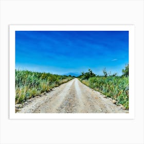 Country Road Under Blue Sky in Camargue France. A dirt road stretches out into the distance, lined by tall green grasses and a few scattered trees. The road is dusty and appears to be rarely traveled. The sky is a vibrant blue, with only a few wispy clouds. The image evokes a sense of tranquility and solitude, suggesting a peaceful rural setting. Art Print