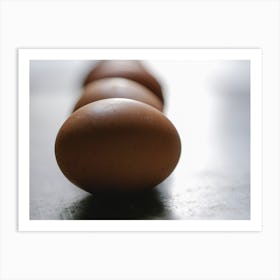 Row Of Brown Eggs 2 Art Print