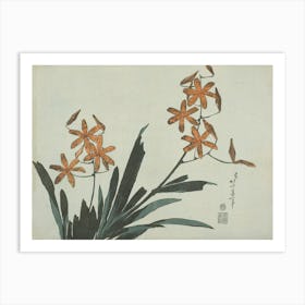 Orange Orchids, Katsushika Hokusai Art Print