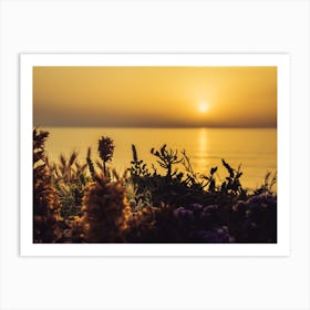 Serene Golden Sunset Over The Sea With The Wild Flowers 4 Art Print