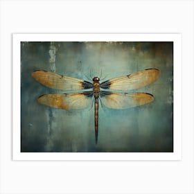 Dragonfly 13 Art Print