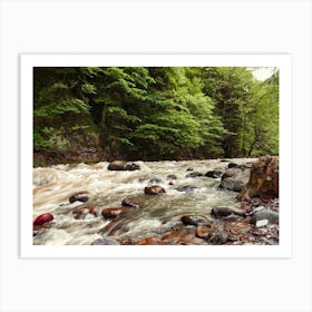 River In The Forest 1 Art Print