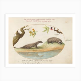 Quadervpedia Animals And Reptiles, Joris Hoefnagel (10) Art Print