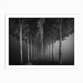 Foggy Path Art Print