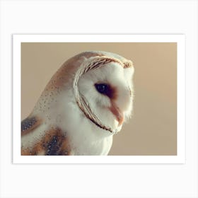 Barn Owl 10 Art Print