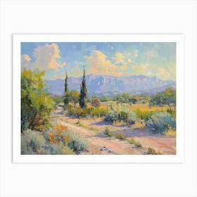 Western Landscapes Tucson Arizona 4 Art Print