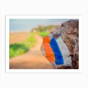 Hiking Trail Marker (Israel Trail) Painted On A Stone In Countryside Area Art Print