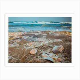 Sea Shells On The Beach 6 Art Print