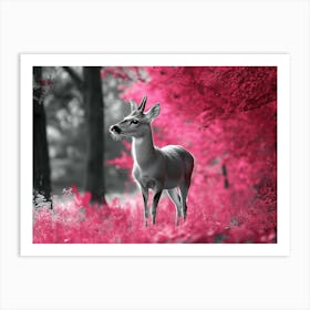 Deer In The Forest Art Print