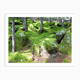 Moss Covered Rocks In The Forest Art Print