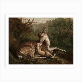 Deer And A Foal Art Print