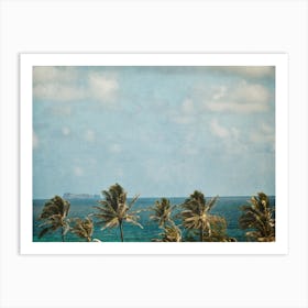 Palm Trees On The Beach Art Print