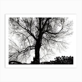 Silhouette Of Bare Tree Black And White 5 Art Print