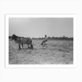 Untitled Photo, Possibly Related To Raking Soybean Hay, Lake Dick Project, Arkansas By Russell Lee Art Print