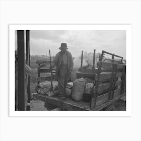 Untitled Photo, Possibly Related To Southeast Missouri Farms, Loading Truck In Process Of Moving Fsa (Farm Art Print