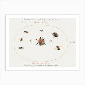 Nine Bees And Other Insects (1575–1580), Joris Hoefnagel Art Print