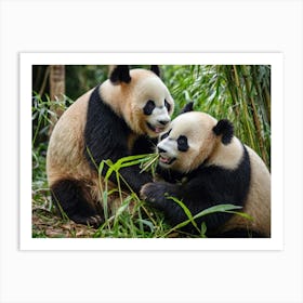 Panda Bears 2 Art Print