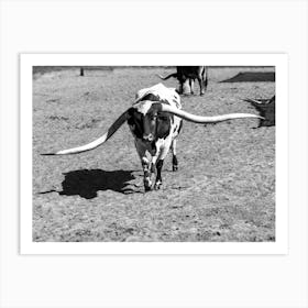 Texas Longhorns 4 Art Print