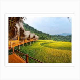 Rice Terraces In Vietnam Art Print