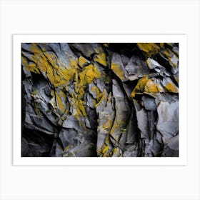 Yellow Lichen On A Rock Art Print