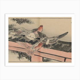 Doves On A Bridge 1 Art Print