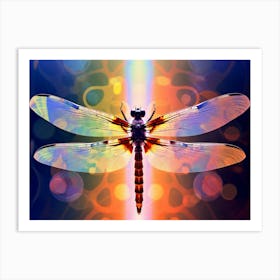 Dragonfly Common Whitetail Plathemis Illustration Vintage Coloursful  Art Print