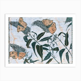 Butterflies On Buddleia Art Print