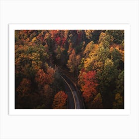 Autumn Forest Road Art Print