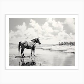 A Horse Oil Painting In Seven Mile Beach, Grand Cayman, Landscape 4 Art Print