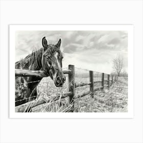 Horse In The Field 1 Art Print