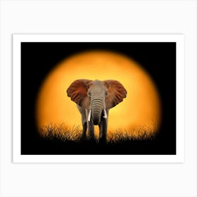 Elephant At Sunset Art Print