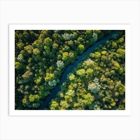 Aerial View Capturing The Vibrant Canvas Of A Lush Green Forest In Springtime Canopy Of Dense Reju (2) Art Print