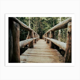 Trail Bridge Art Print